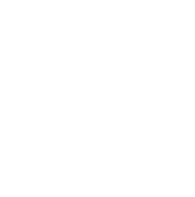 Eprint icon