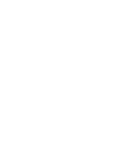 Analytics icon
