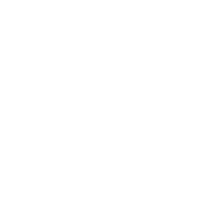 Webinar icon